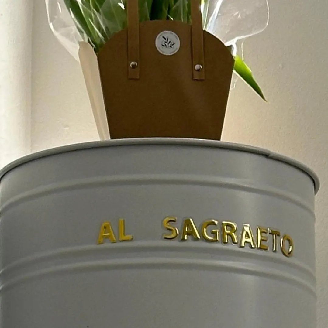 Al Sagraeto Hotel Chioggia 0*,